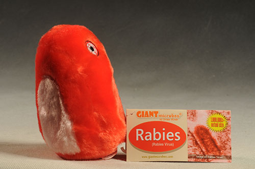 giant microbes rabies