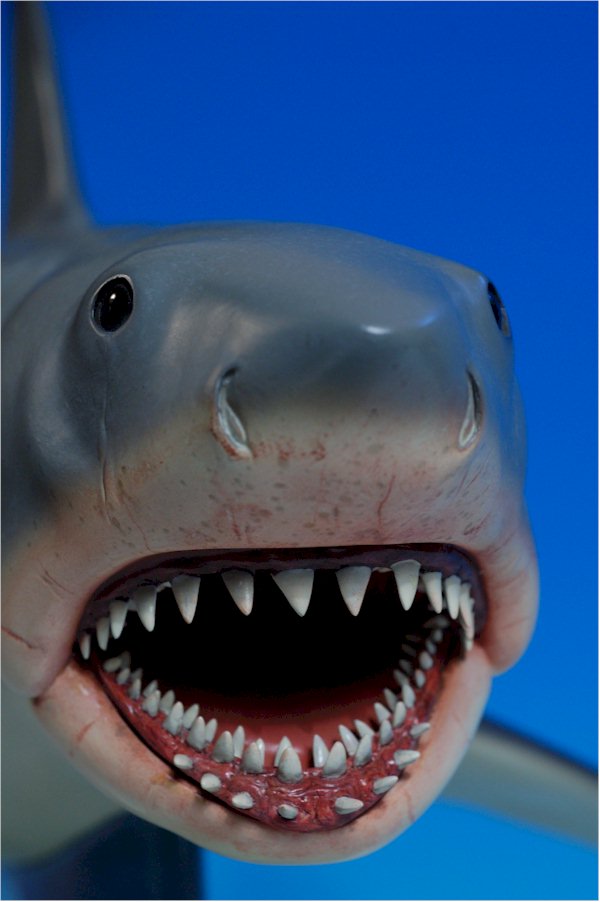 Jaws shark statue