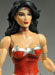 DC Unlimited Wonder Woman