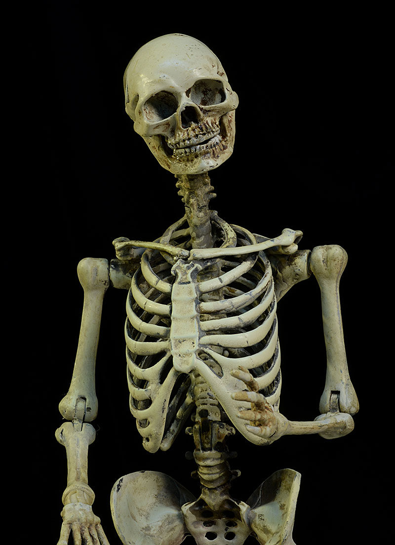 skeleton action figure