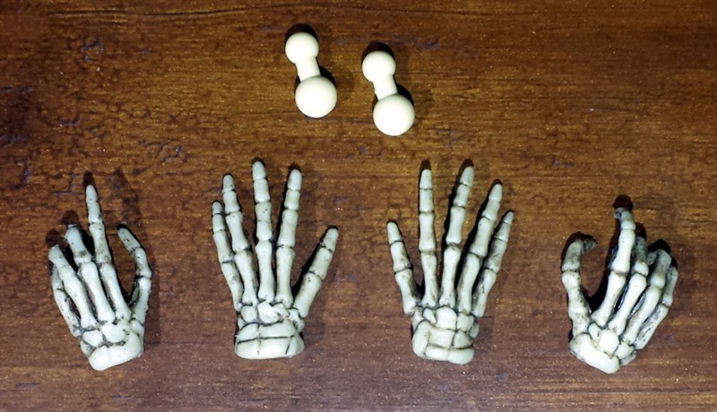 Human Skeleton 1/6 Scale Figure